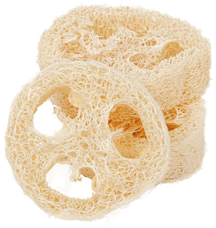 Luffa eli pesusienikurkku kiekko – biohajoava ja kestävä valinta saippua-alustaksi tai hellävaraiseen ihon kuorintaan.